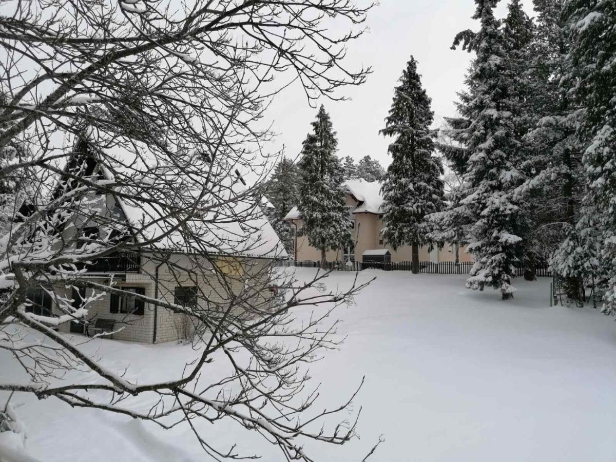 Kuca Za Odmor Zlatibor Villa ภายนอก รูปภาพ