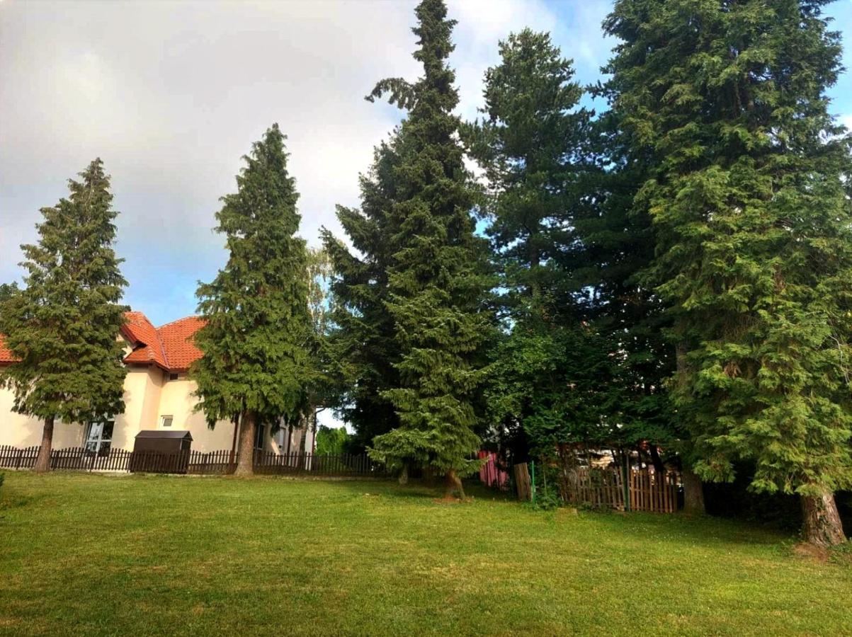 Kuca Za Odmor Zlatibor Villa ภายนอก รูปภาพ