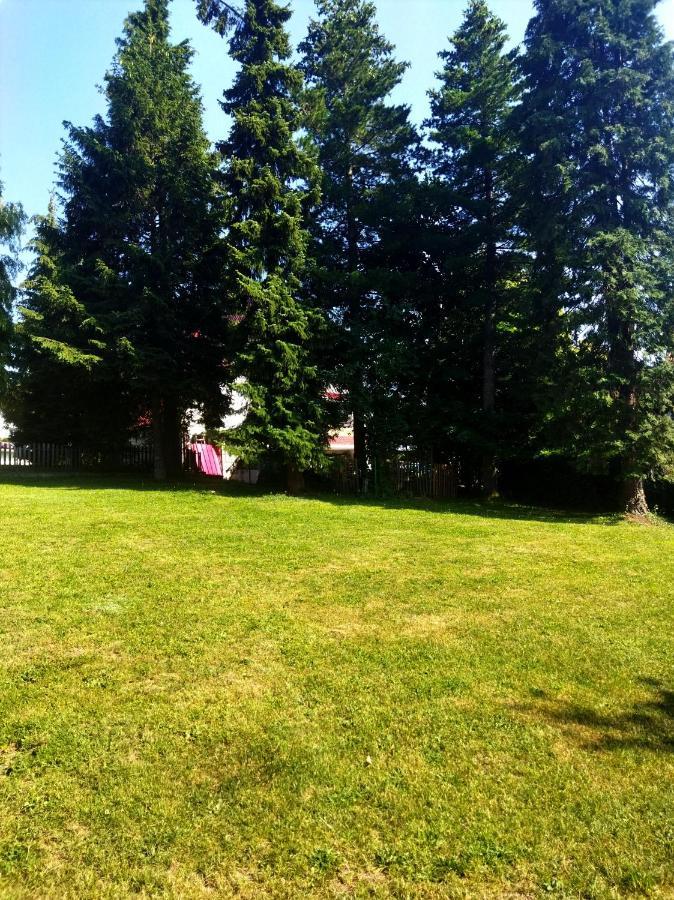 Kuca Za Odmor Zlatibor Villa ภายนอก รูปภาพ